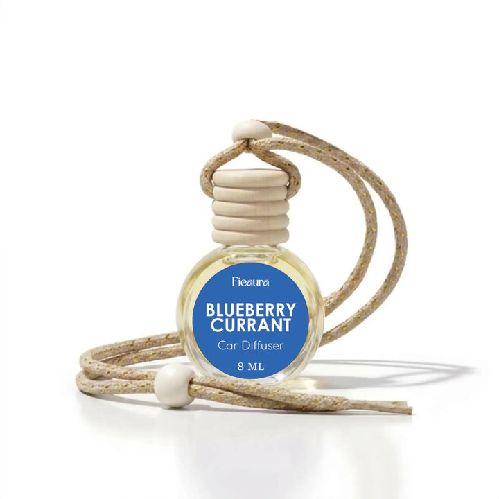 blueberry currant hanging car diffuser