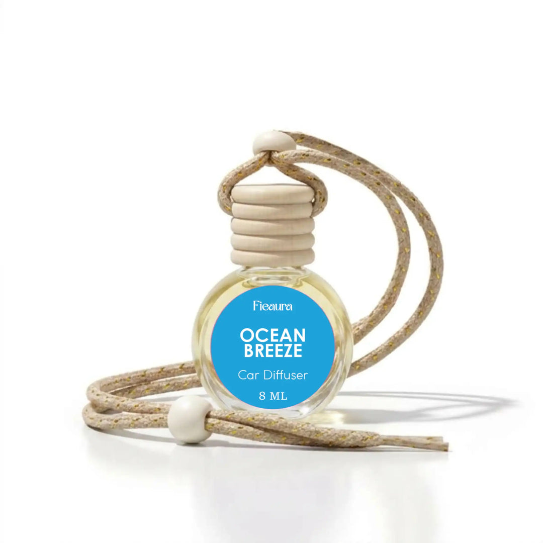 ocean breeze hanging car diffuser