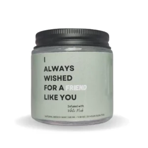 i-always-wished-for-a-friend-like-you-scented-candle