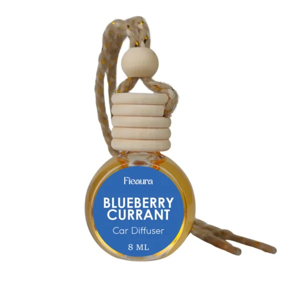 hanging-car-diffuser-blueberry-currant